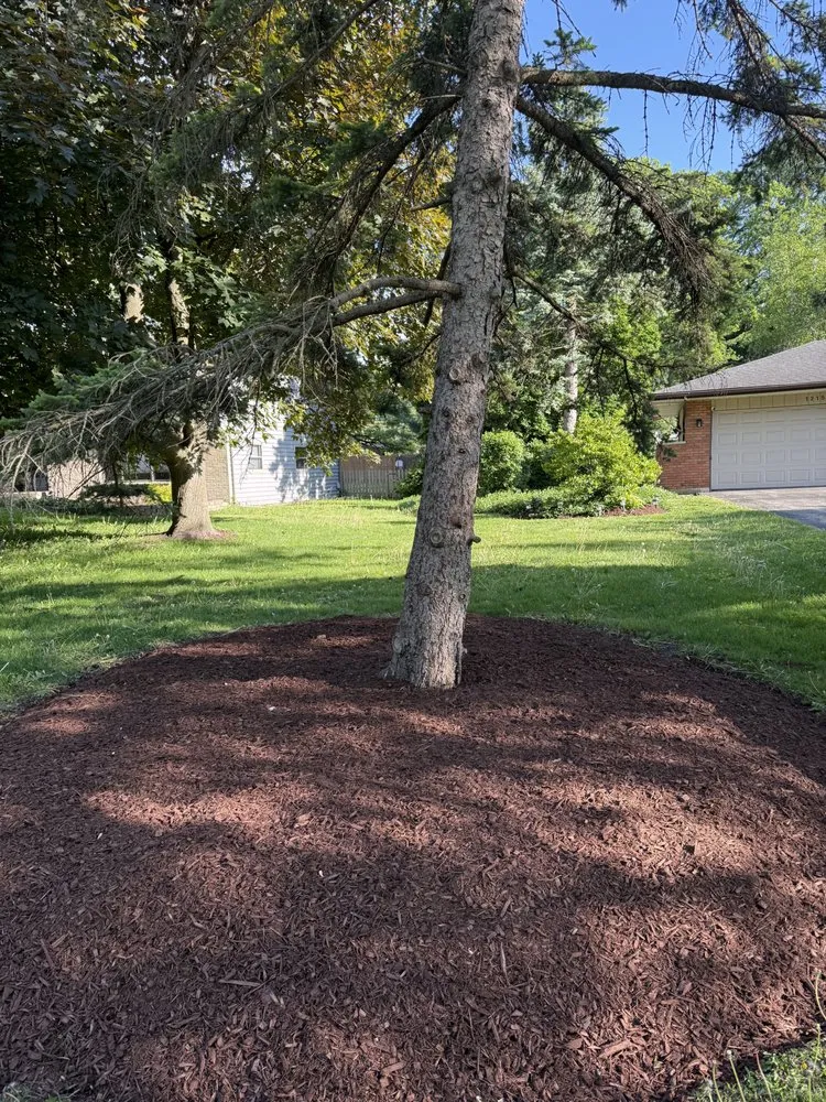 Expert yard maintenance in Crystal Lake, IL by HT Landscaping