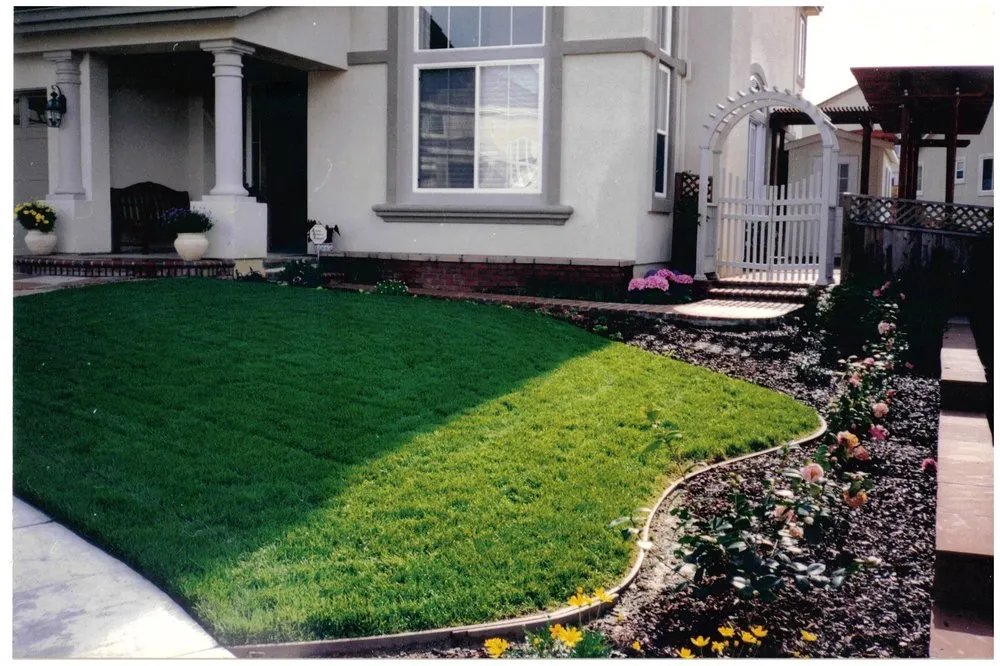 Expert lawn care service experts serving Hayward, CA - HT Landscaping Services