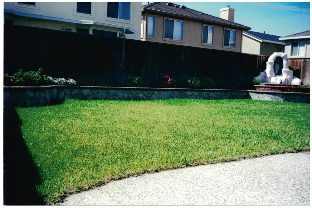 Affordable garden landscaping for outdoor upgrades in Hayward, CA by HT Landscaping Services