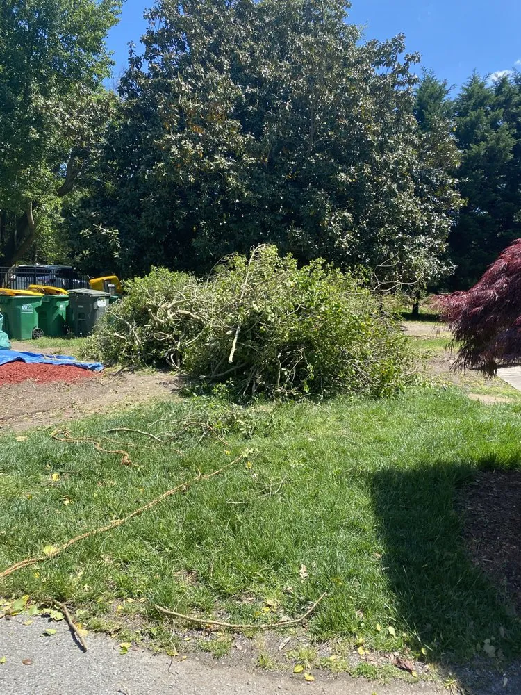 Professional landscaping services in Great Falls, VA by HTF Home Repair