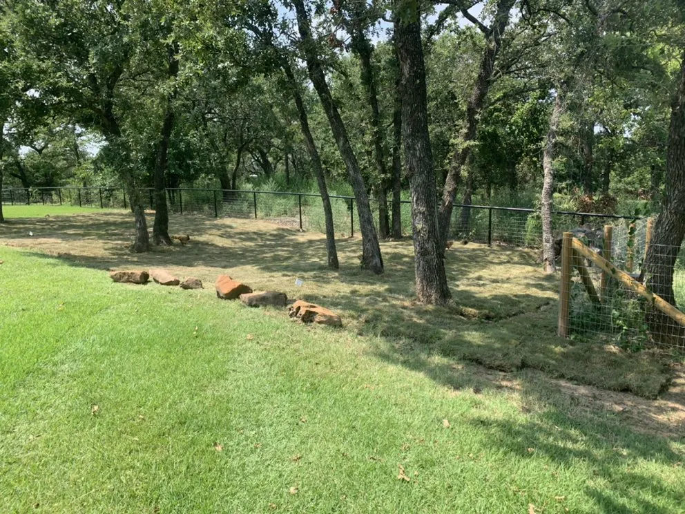 Custom landscaping services for outdoor upgrades across Springtown, TX - HTG Irrigation and Sod