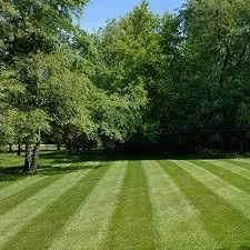 Custom yard cleanup service experts serving Surry, VA - HTJ Services