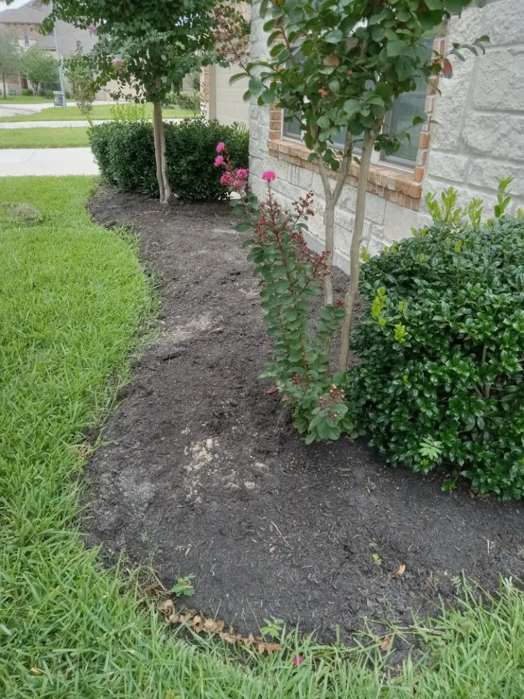 Local lawn mowing service for outdoor upgrades in Spring, TX by HTX Lawn & Pressure Wash