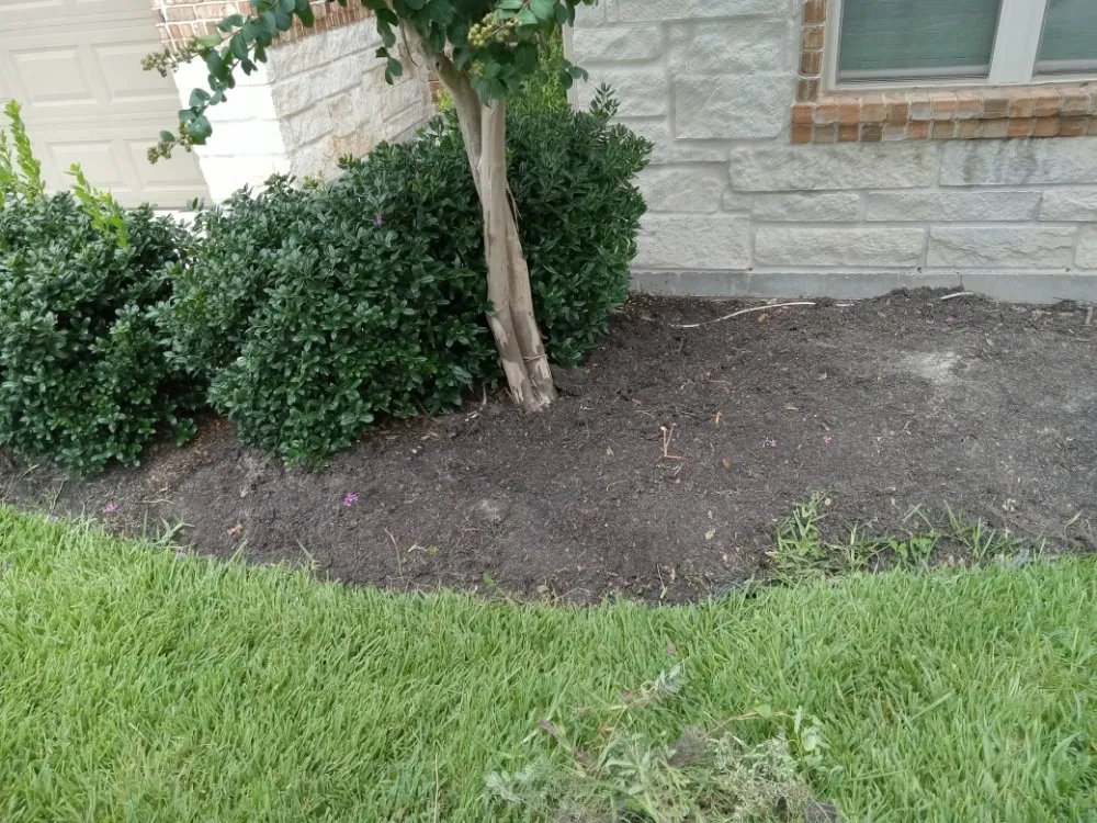 Expert lawn care service for year-round maintenance in Spring, TX by HTX Lawn & Pressure Wash