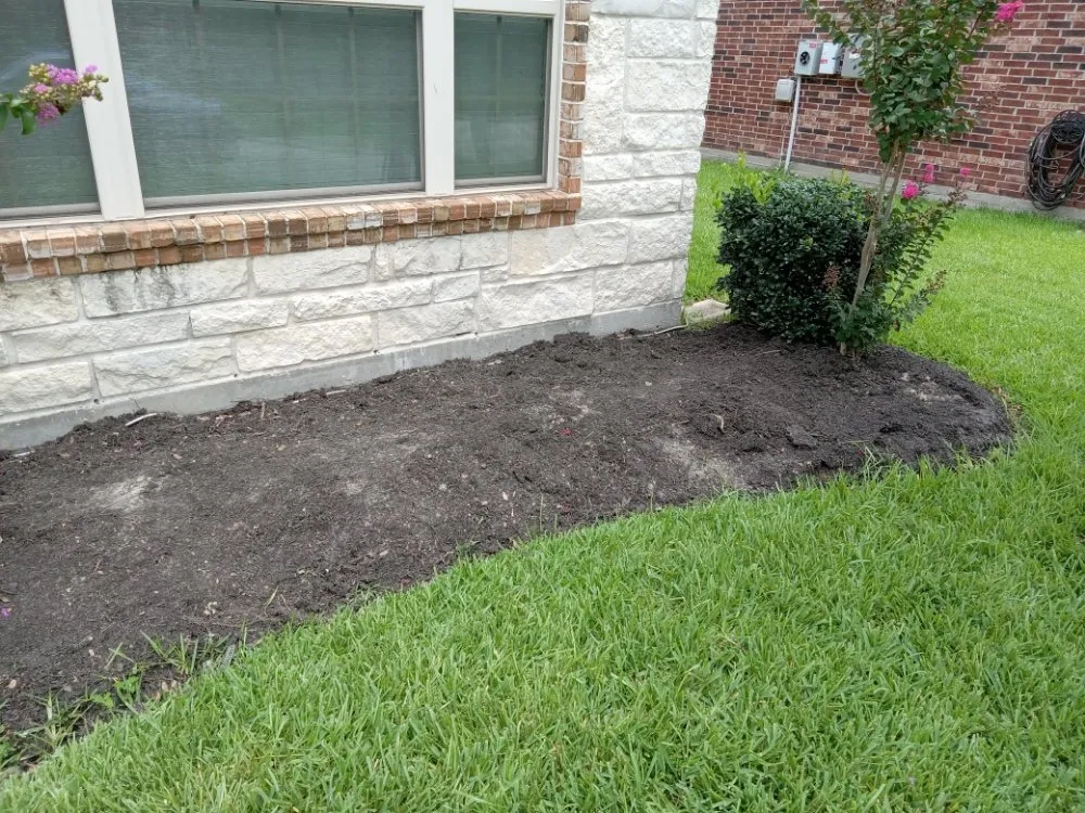 Local yard cleanup service in Spring, TX - HTX Lawn & Pressure Wash