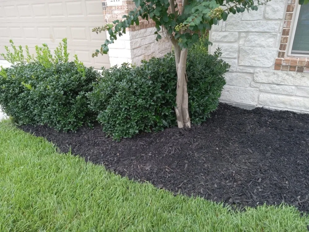 Local landscape design near you in Spring, TX by HTX Lawn & Pressure Wash
