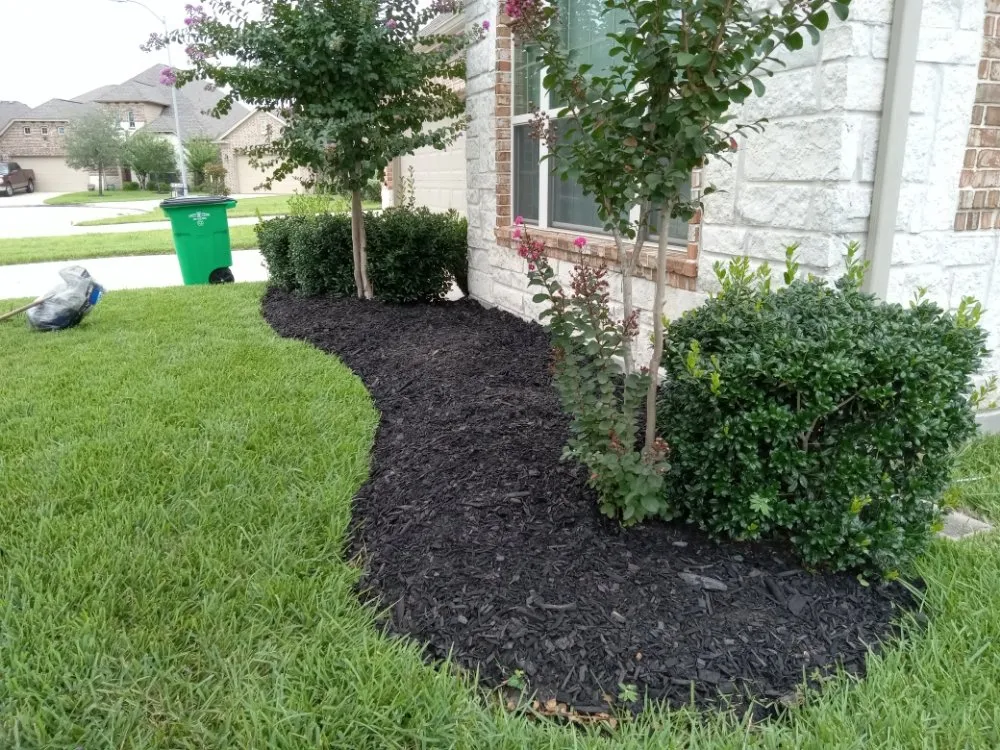 Reliable landscaping services for beautiful yards in Spring, TX by HTX Lawn & Pressure Wash