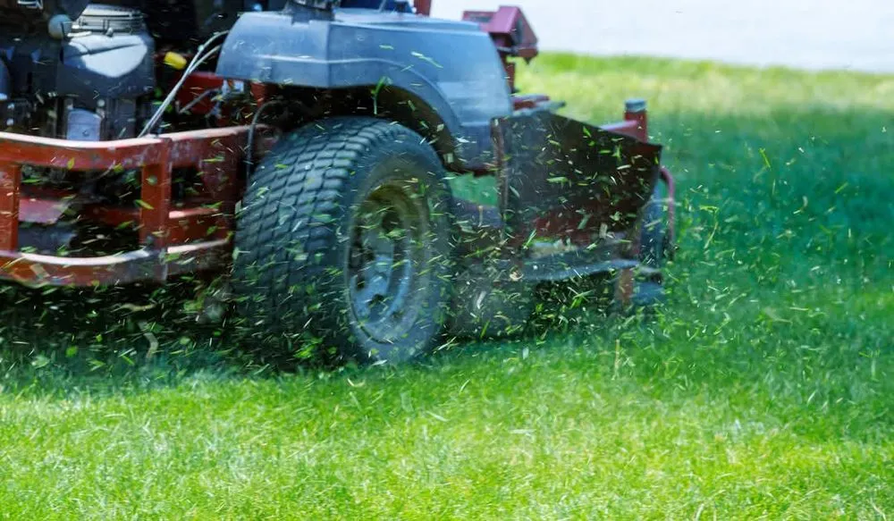 Expert yard maintenance for homes in Pasadena, TX by Htx Pressure Pros