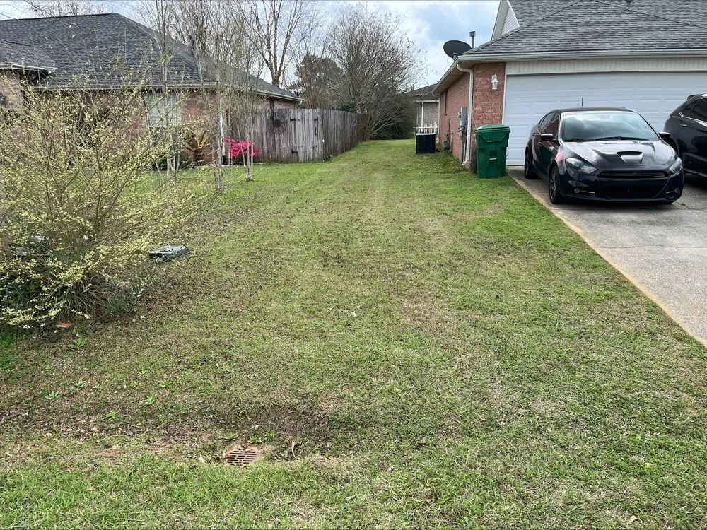 Local landscaping services for year-round maintenance in Crestview, FL by Hub City Lawn