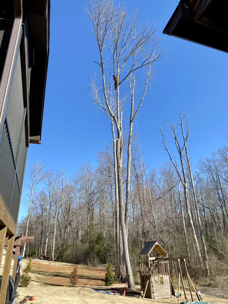 Local landscaping services for residential properties across Spartanburg, SC - Hub City Tree