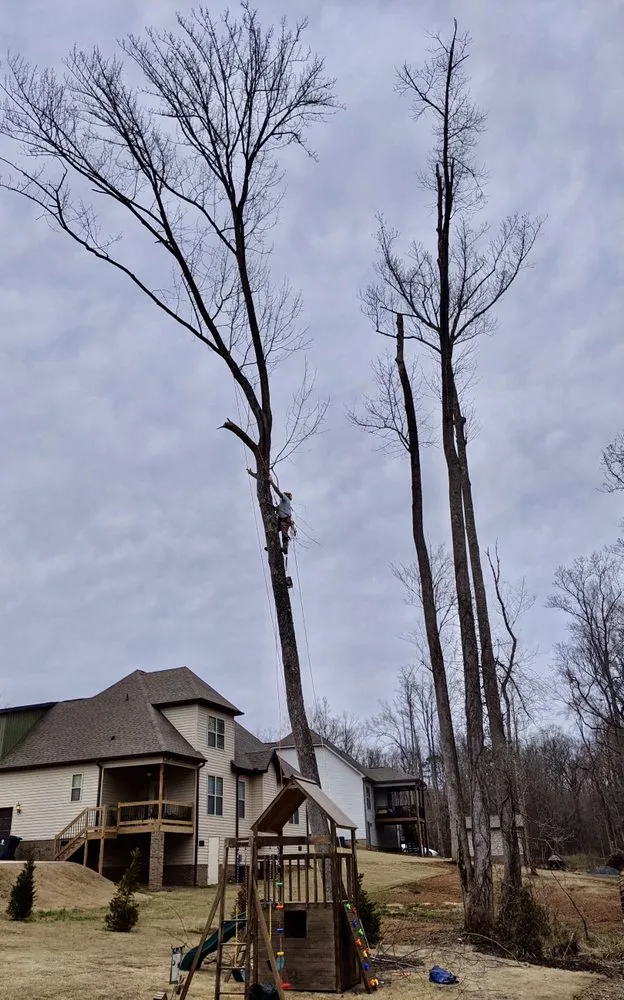 Expert residential landscaping in Spartanburg, SC by Hub City Tree