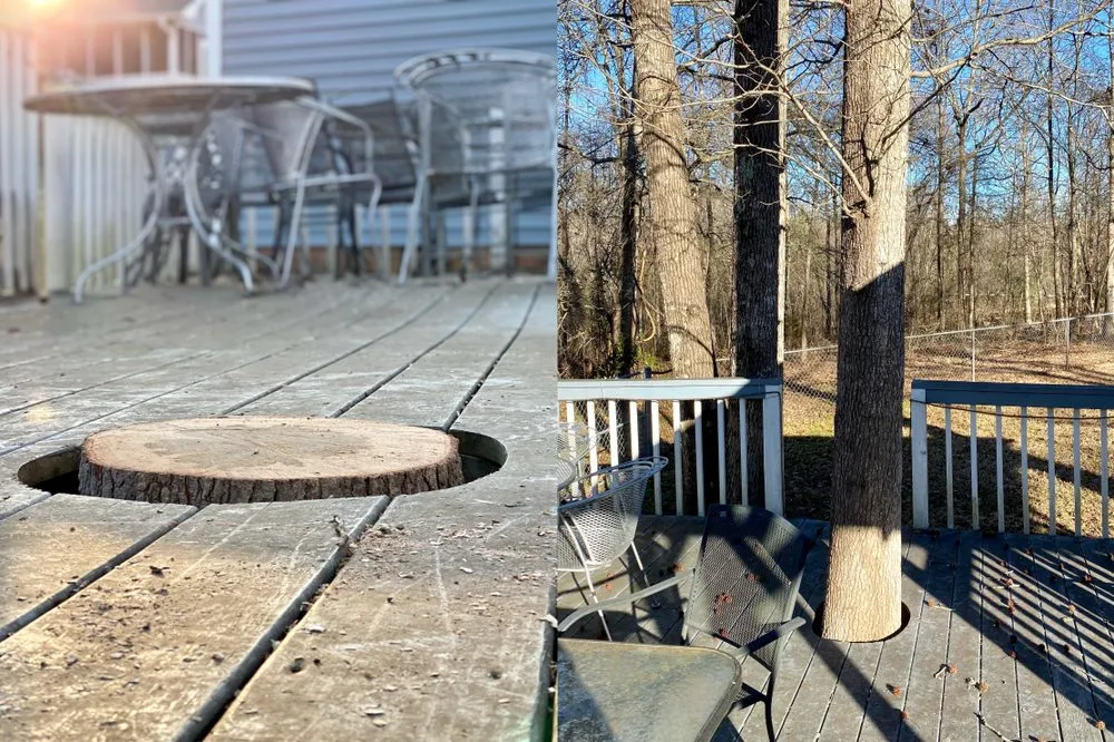 Trusted landscape design for residential properties in Spartanburg, SC by Hub City Tree