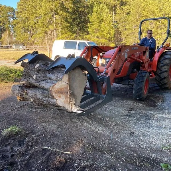 Affordable landscaping services for year-round maintenance in Spartanburg, SC by Hub City Tree