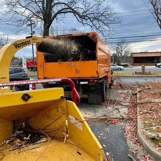 Custom landscape design with custom design across Spartanburg, SC - Hub City Tree