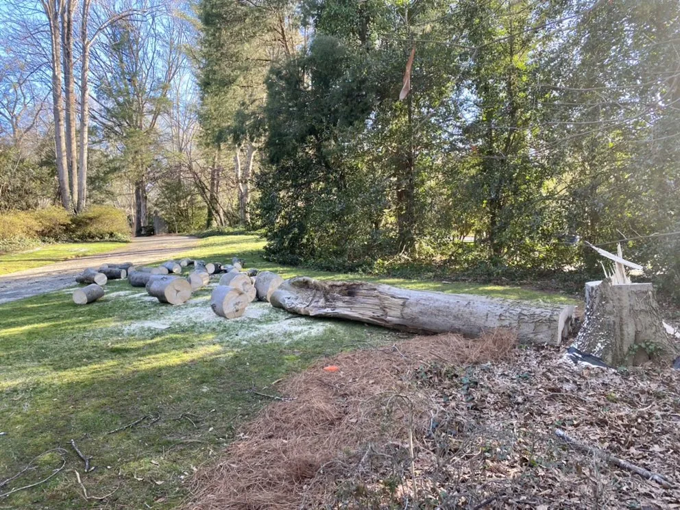 Professional yard maintenance experts serving Spartanburg, SC - Hub City Tree