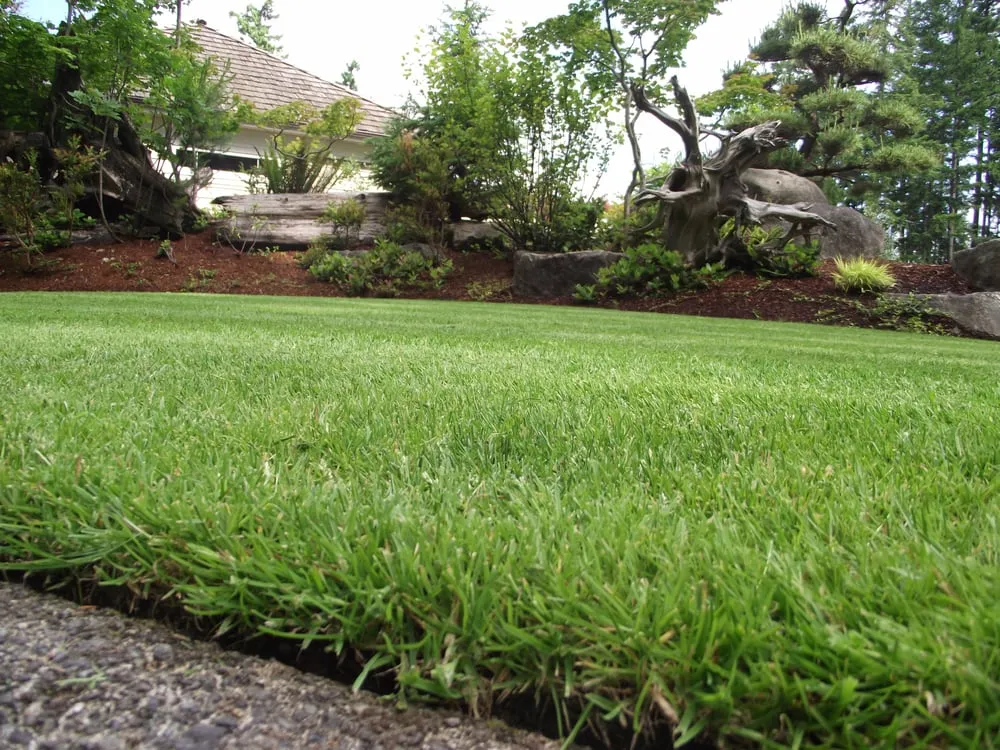 Top-rated yard cleanup service in Port Orchard, WA by Hubbard's Landscape Services