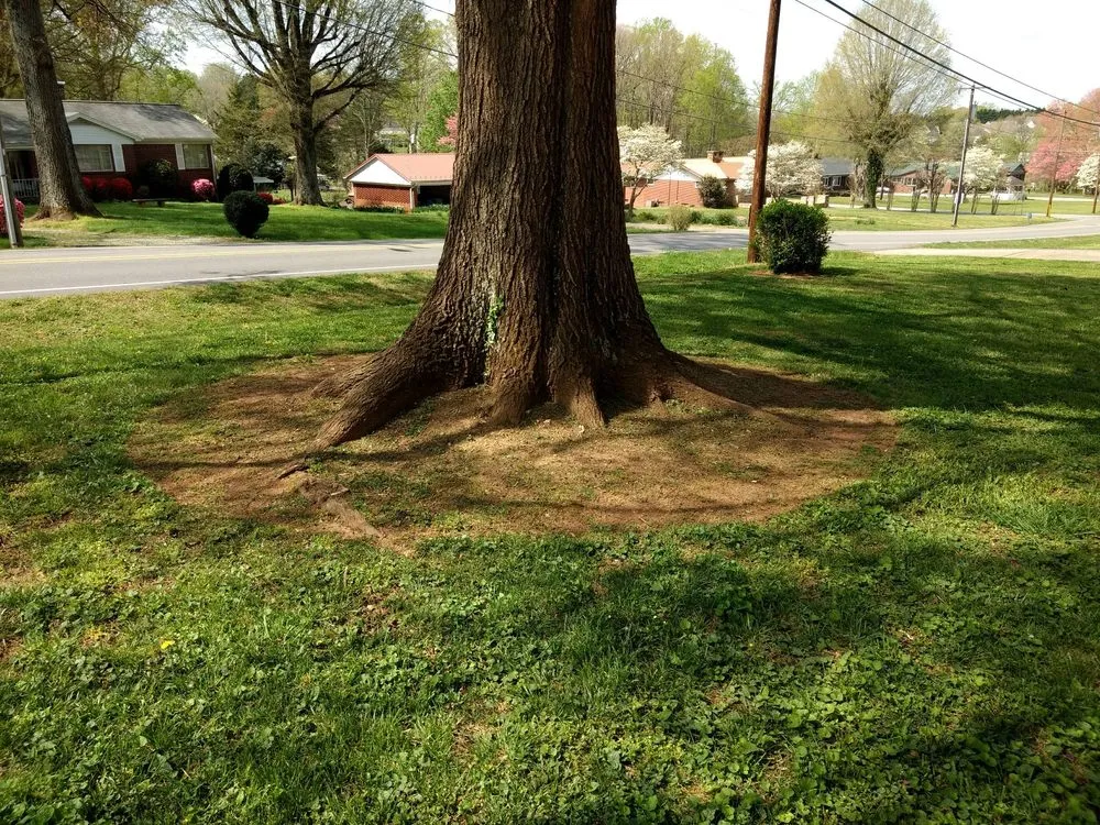 Affordable yard maintenance in Conover, NC - Hubbard's Landscaping & Lawn Care