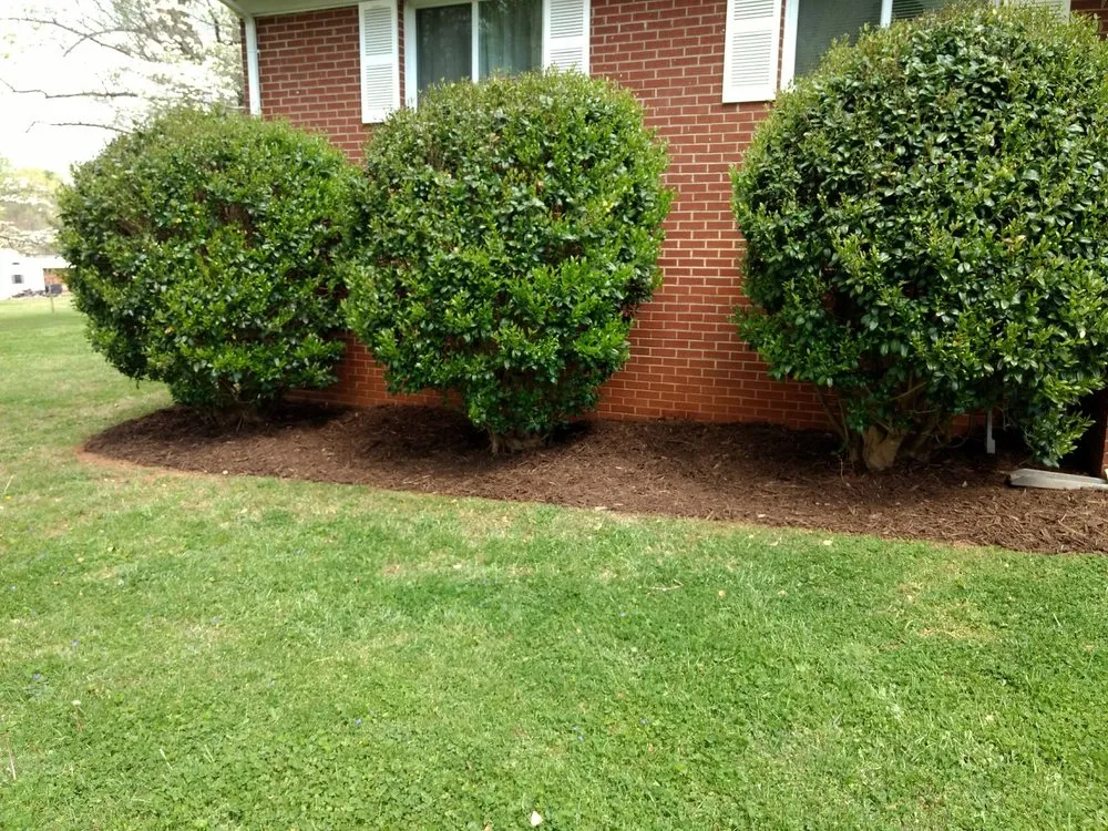 Local landscape installation for year-round maintenance across Conover, NC - Hubbard's Landscaping & Lawn Care