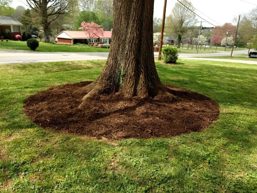 Affordable landscape design for beautiful yards in Conover, NC by Hubbard's Landscaping & Lawn Care