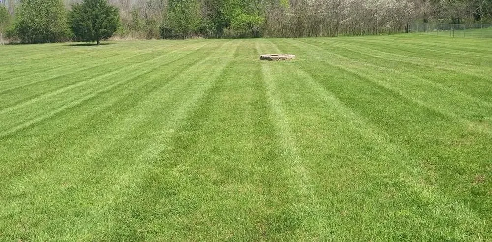Reliable yard maintenance in Republic, MO by Hubbard's Landscaping & Lawncare