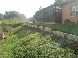 Custom landscape installation in Palm Harbor, FL - Hubbard's Landscaping