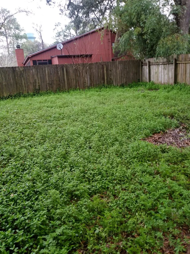 Top-rated outdoor landscaping with custom design in Tallahassee, FL by Hubbard's Lawncare