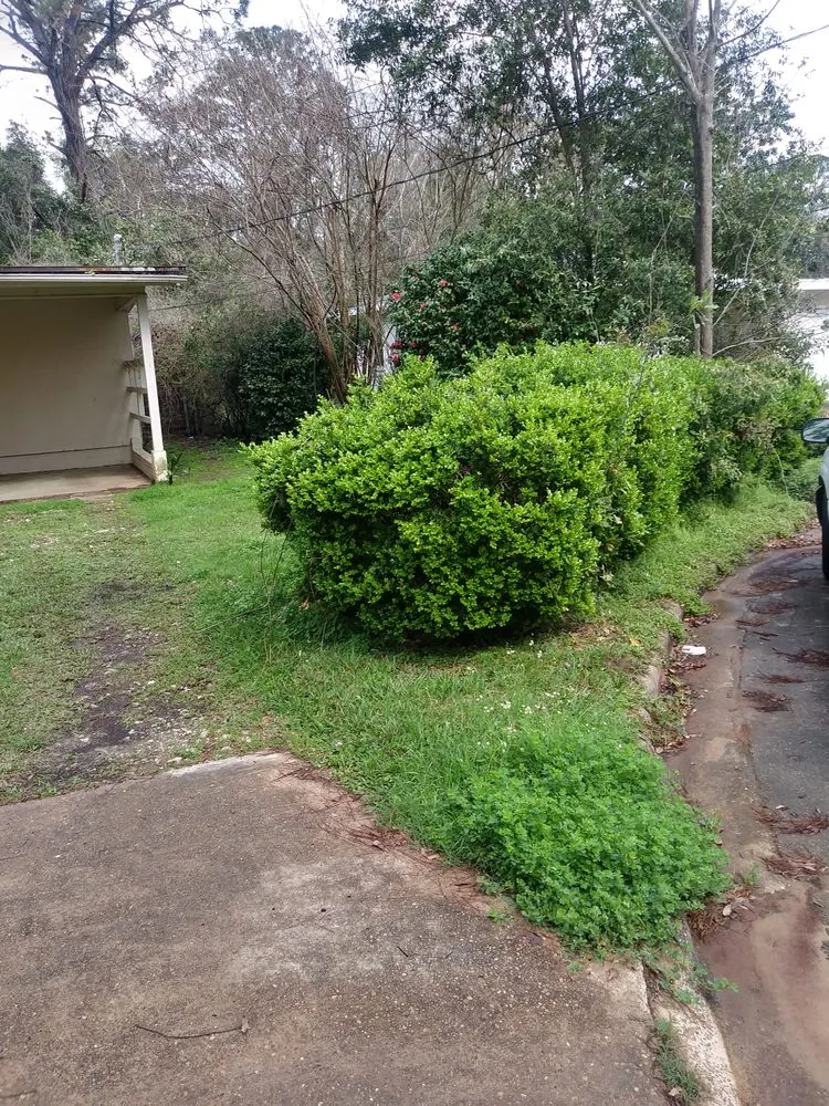 Affordable residential landscaping in Tallahassee, FL by Hubbard's Lawncare