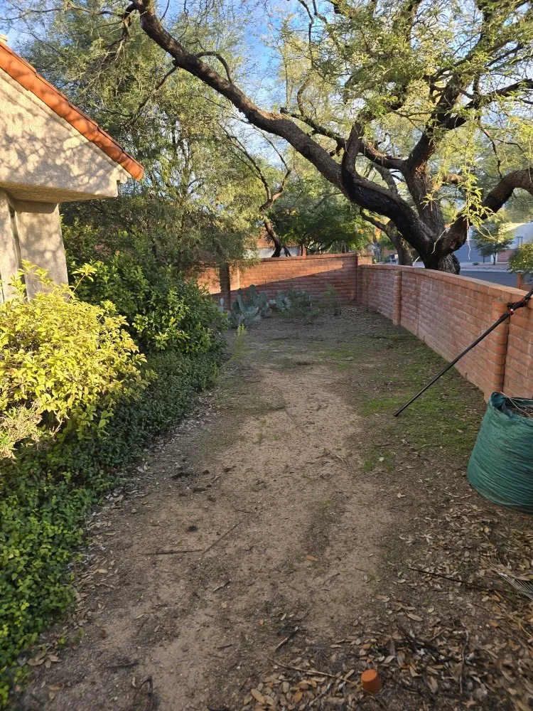 Affordable yard maintenance in Tucson, AZ - Huber Dreamscapes & Junk Removal