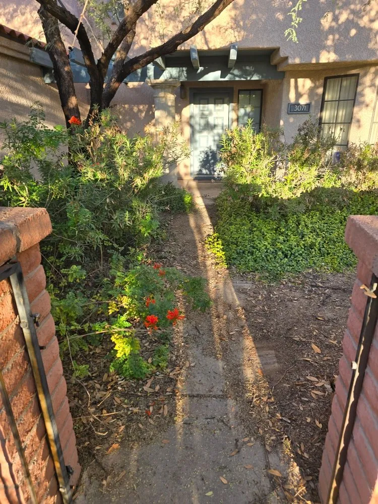 Professional landscape design experts serving Tucson, AZ - Huber Dreamscapes & Junk Removal