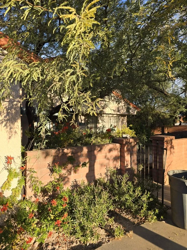 Affordable lawn mowing service in Tucson, AZ - Huber Dreamscapes & Junk Removal