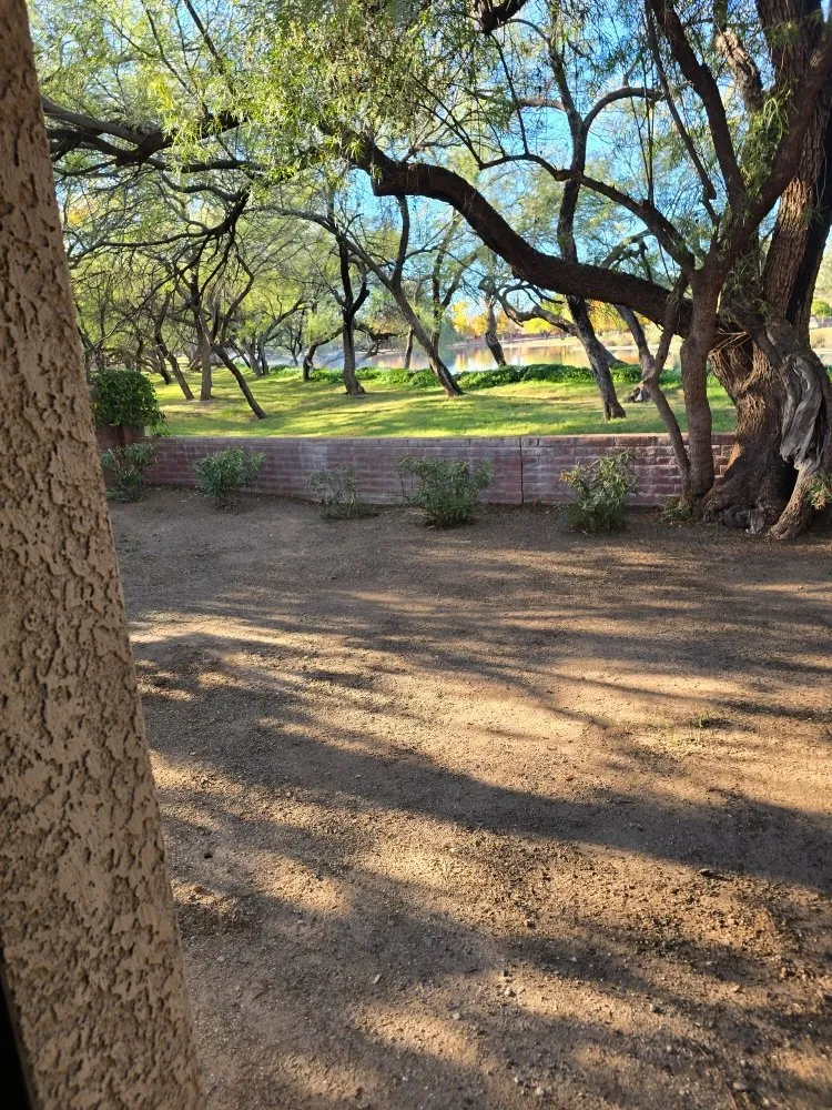 Top-rated yard maintenance in Tucson, AZ - Huber Dreamscapes & Junk Removal