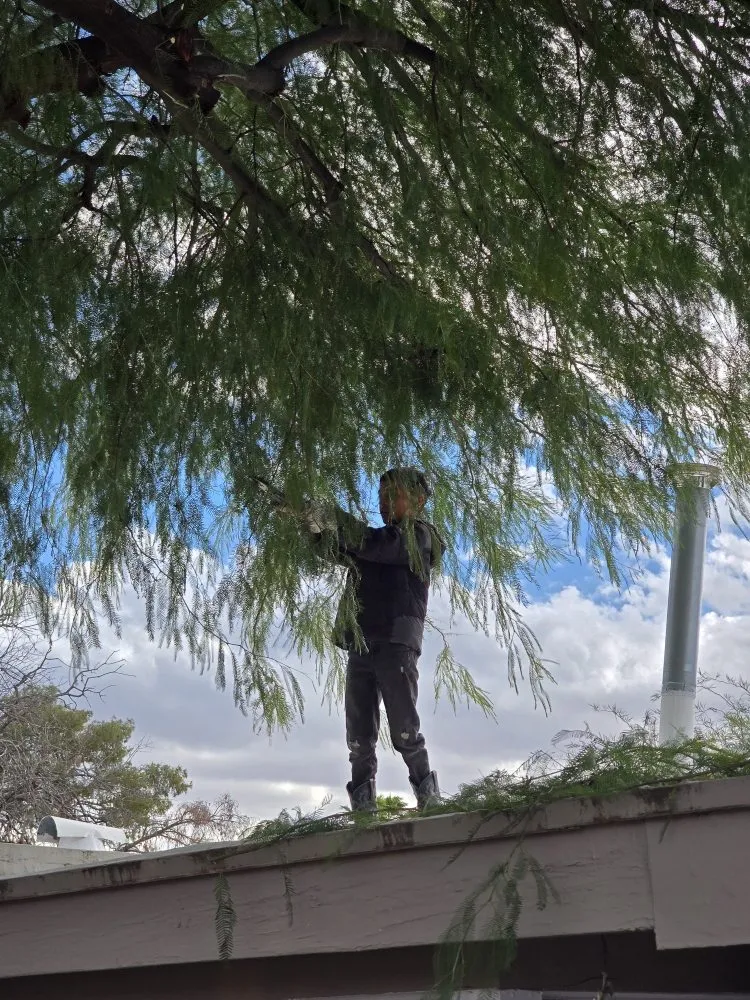 Reliable lawn mowing service in Tucson, AZ by Huber Dreamscapes & Junk Removal