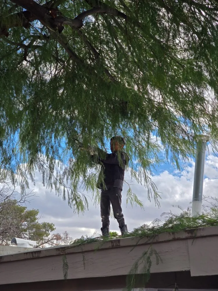 Custom lawn care service for residential properties across Tucson, AZ - Huber Dreamscapes & Junk Removal