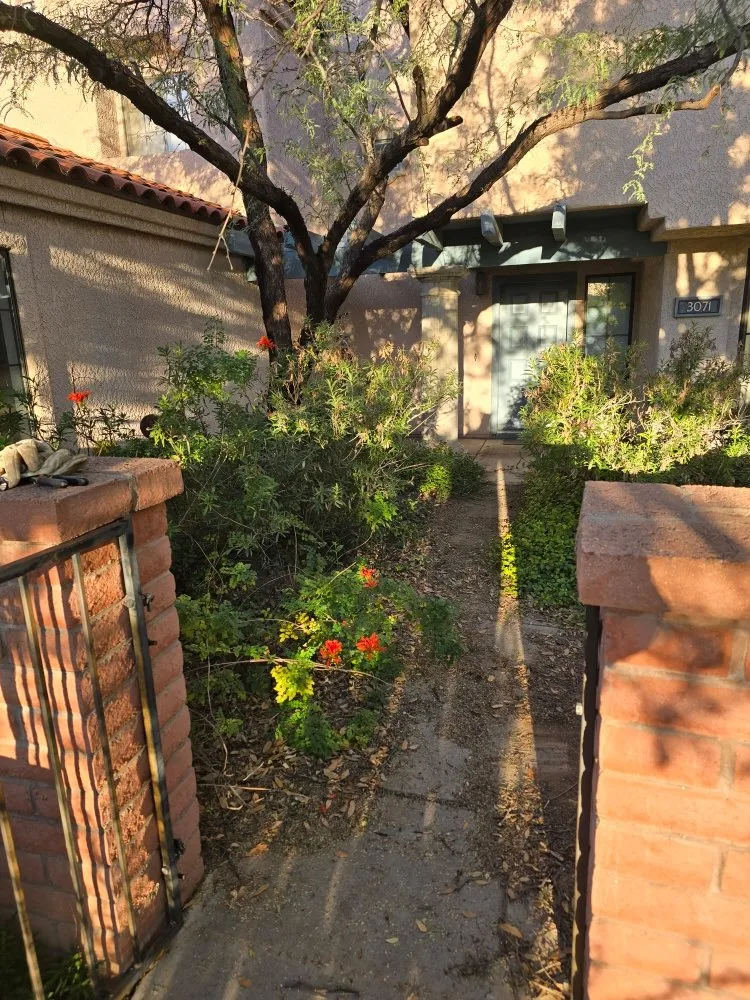 Top-rated garden landscaping experts serving Tucson, AZ - Huber Dreamscapes & Junk Removal