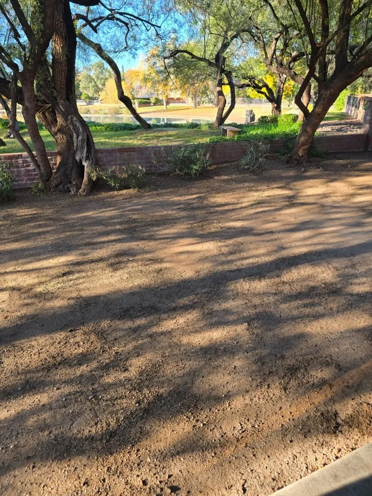 Trusted outdoor landscaping for residential properties across Tucson, AZ - Huber Dreamscapes & Junk Removal