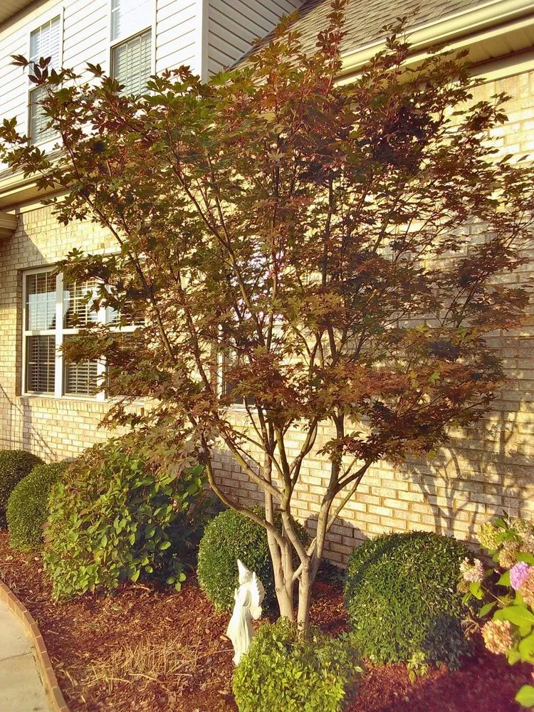 Reliable residential landscaping in Huntsville, AL - Huber Tree Service