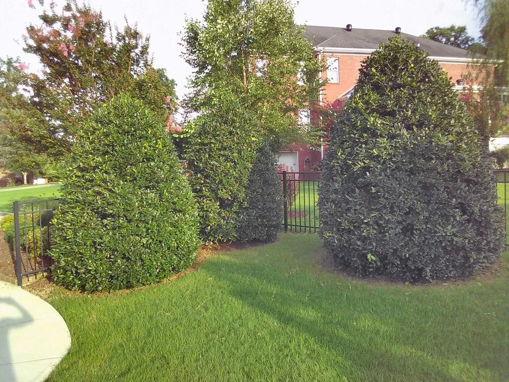 Expert outdoor landscaping experts serving Huntsville, AL - Huber Tree Service