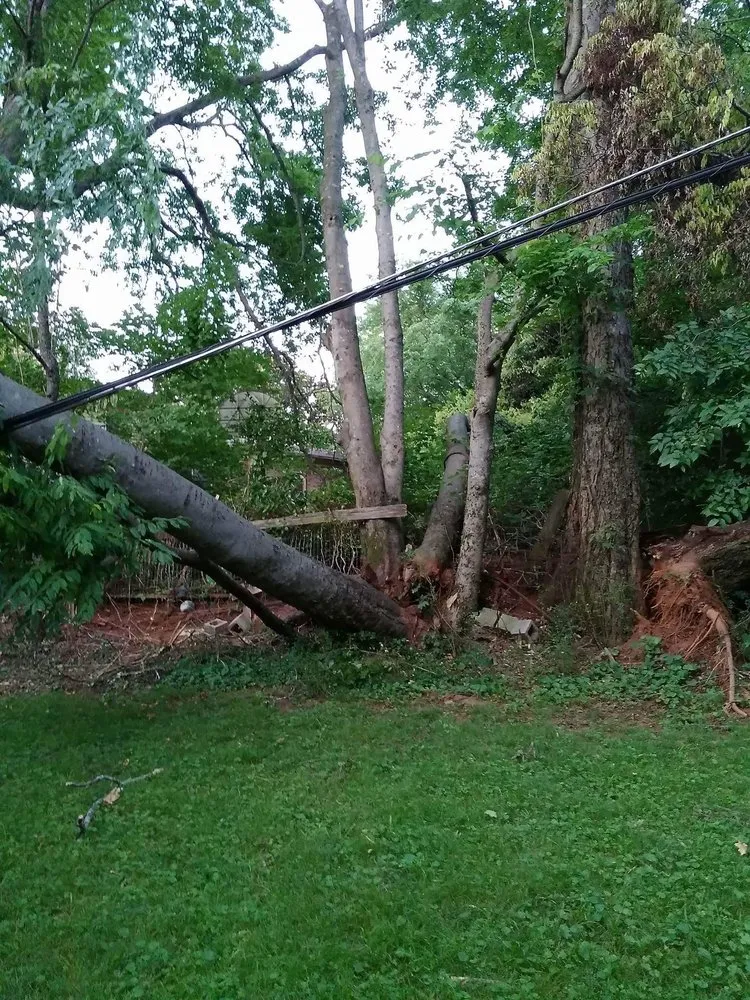 Trusted outdoor landscaping for year-round maintenance in Huntsville, AL by Huber Tree Service