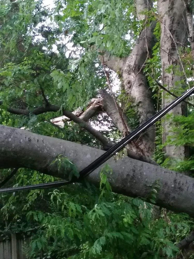 Professional outdoor landscaping for outdoor upgrades in Huntsville, AL by Huber Tree Service