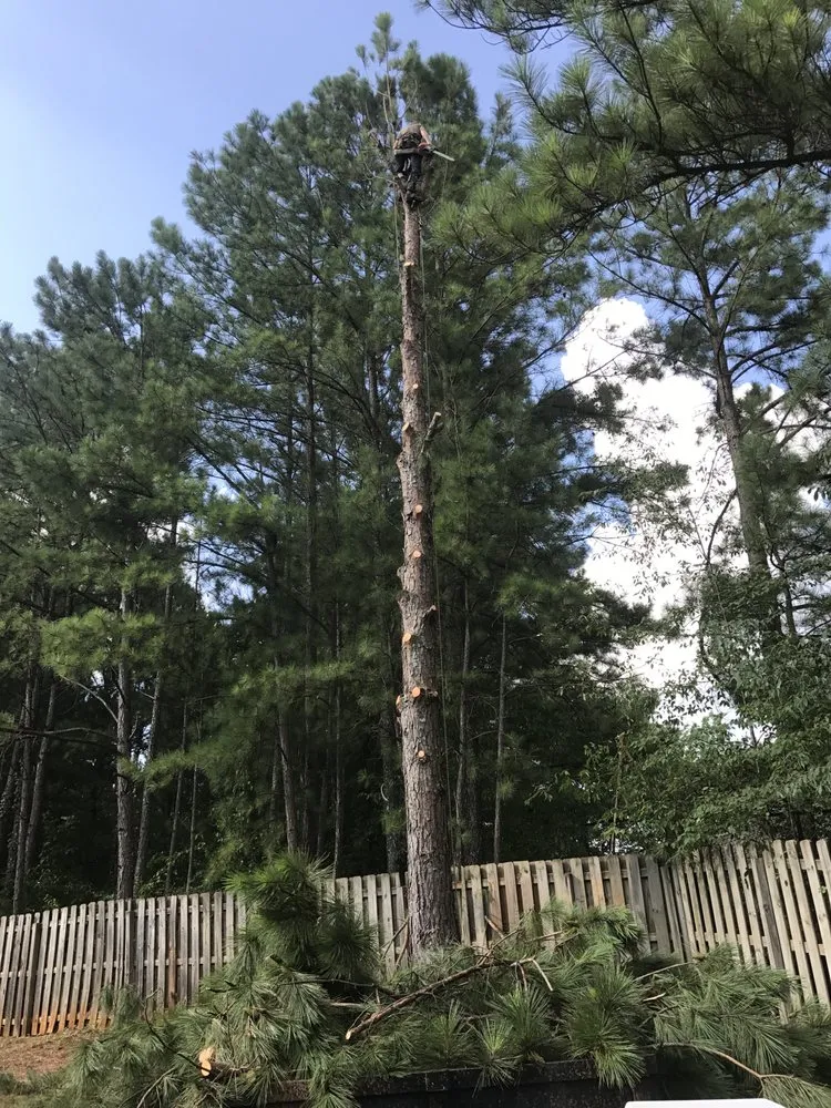 Trusted landscape installation in Huntsville, AL by Huber Tree Service