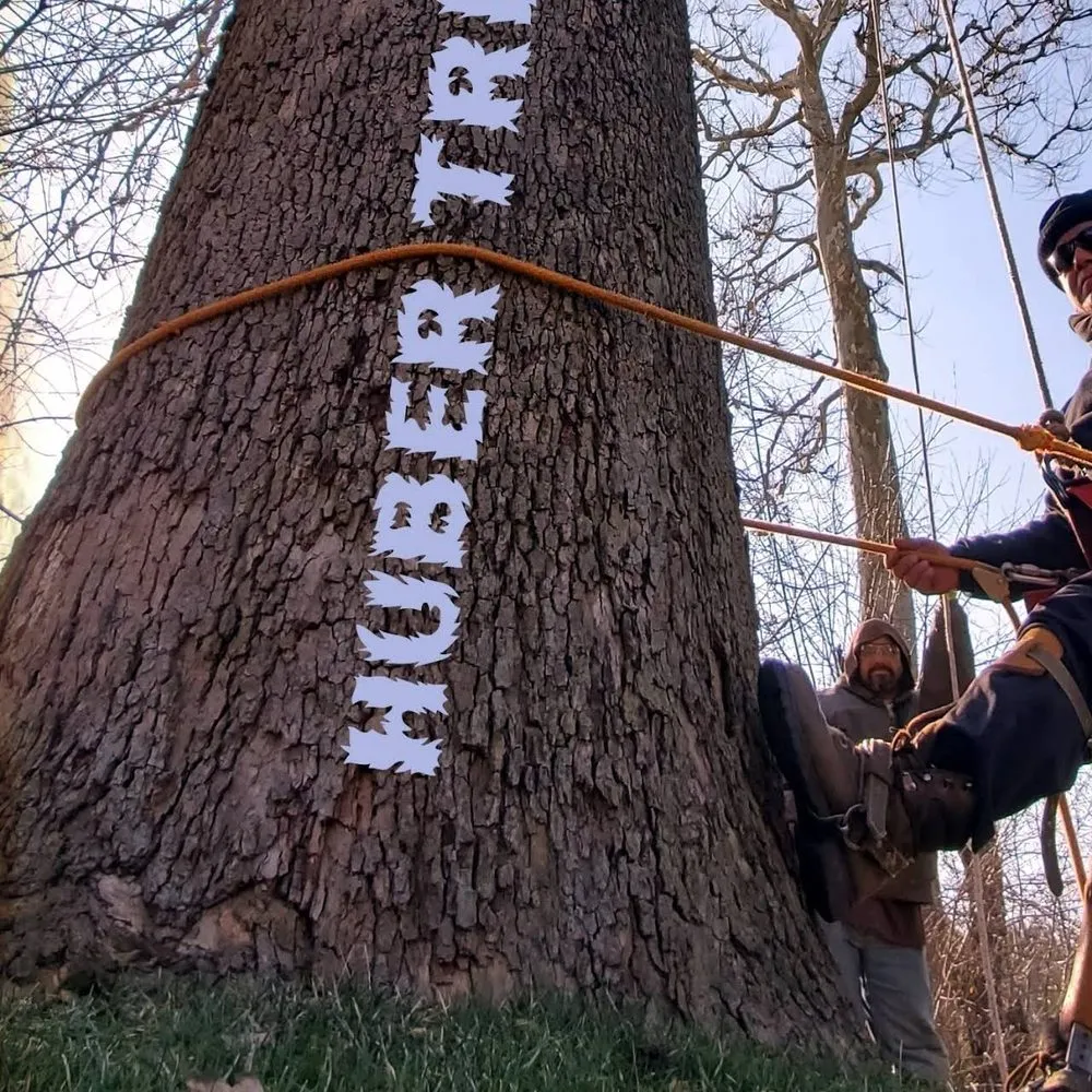 Top-rated landscape installation in Huntsville, AL by Huber Tree Service