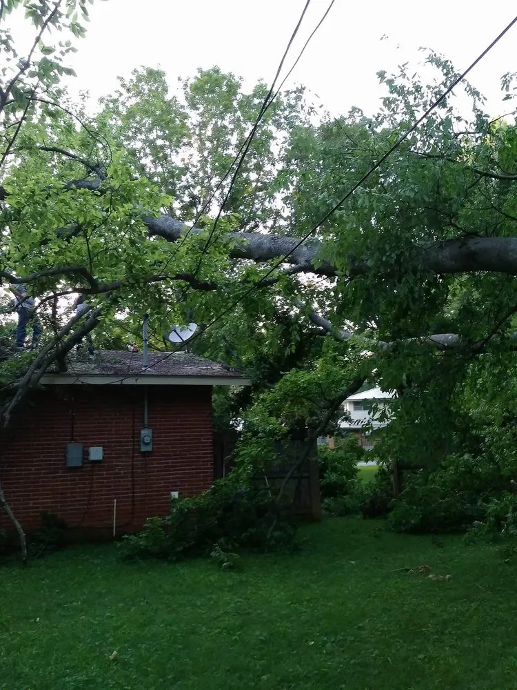 Professional landscaping services near you across Huntsville, AL - Huber Tree Service