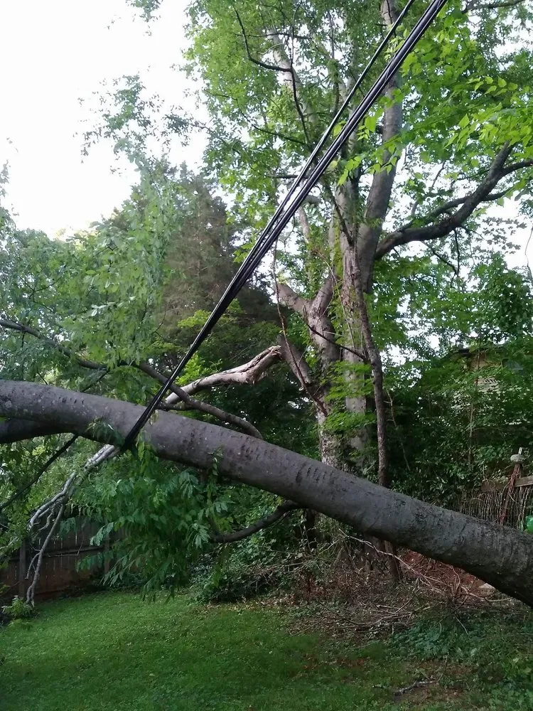 Local yard maintenance in Huntsville, AL - Huber Tree Service