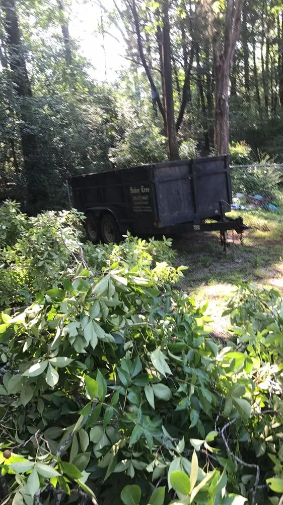 Top-rated landscape installation in Huntsville, AL by Huber Tree Service