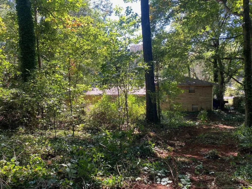 Expert lawn mowing service experts serving Atlanta, GA - Hubertus Group