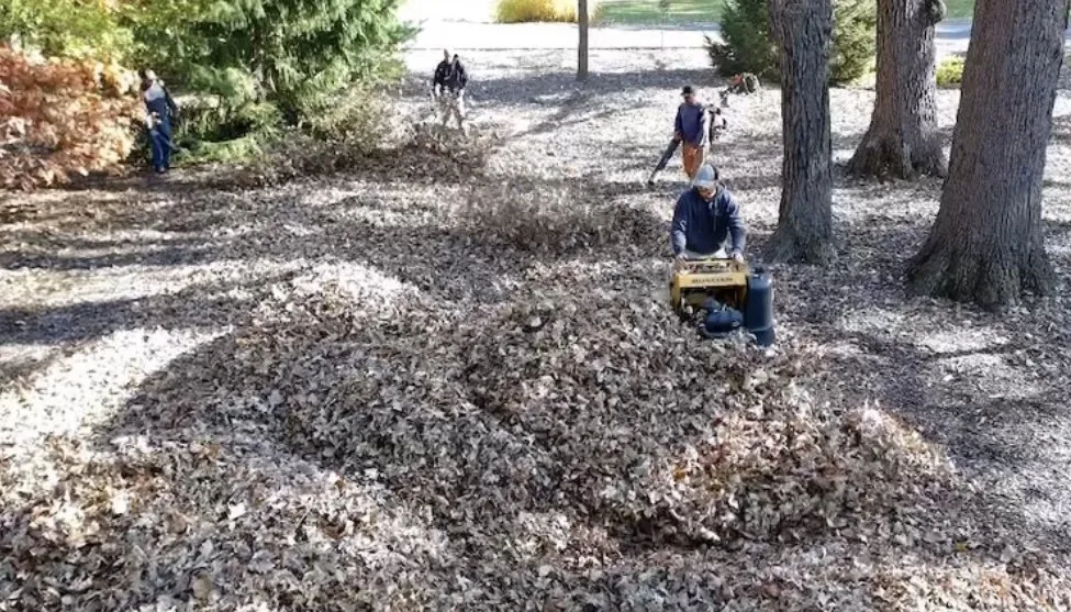 Top-rated landscape design in Arlington Heights, IL by Hub's Landscaping