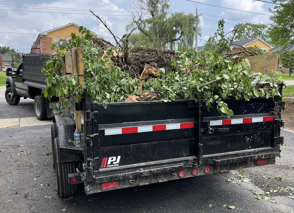 Expert yard cleanup service in Arlington Heights, IL - Hub's Landscaping