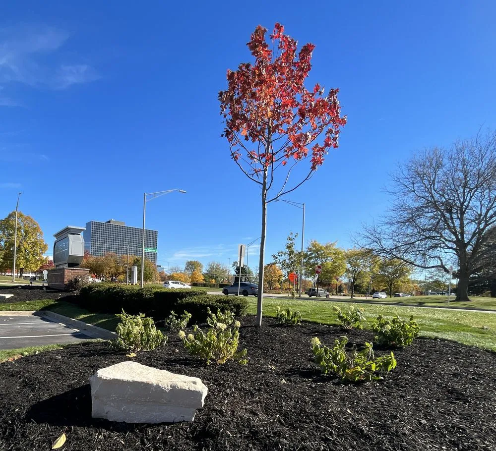 Top-rated lawn care service near you in Arlington Heights, IL by Hub's Landscaping