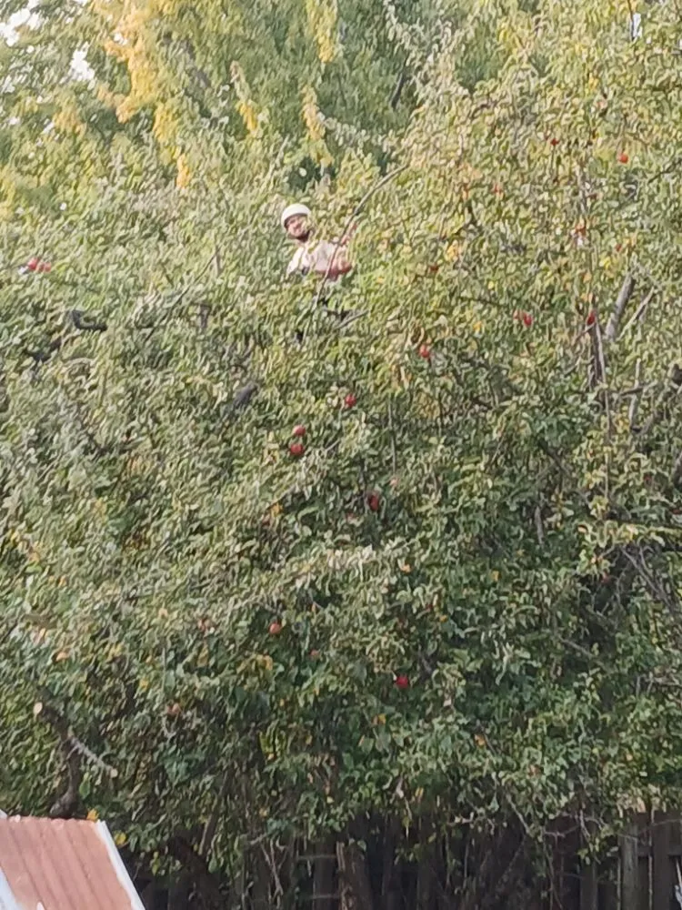 Custom landscape installation for year-round maintenance across Coeur d'Alene, ID - Huck N Stone Timber And Massonry