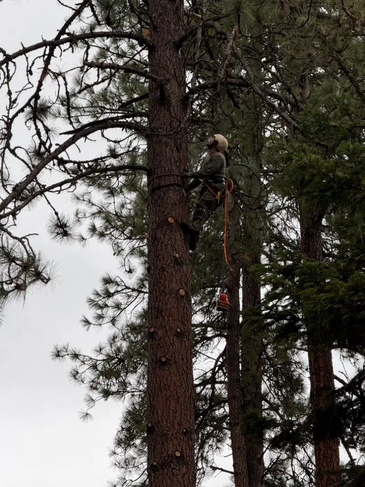 Top-rated lawn mowing service near you in Coeur d'Alene, ID by Huck N Stone Timber And Massonry